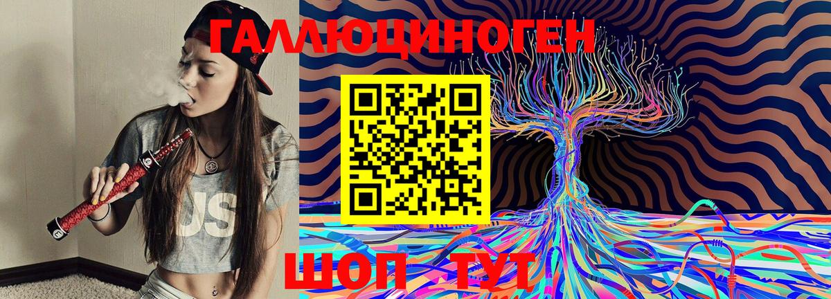 Галлюциногенные грибы Cubensis Таганрог