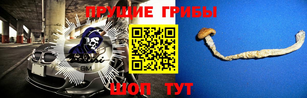 Псилоцибиновые грибы Psilocybe  Вход с VPN  Таганрог 